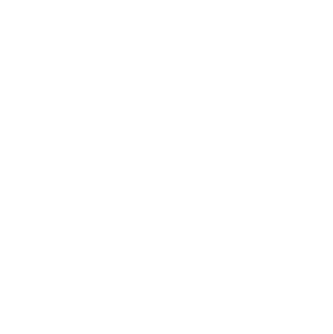 Salibandy Suomisarja Salibandy Suomisarja